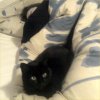 2007-12-07 Dodo avec la chatte_l.jpg